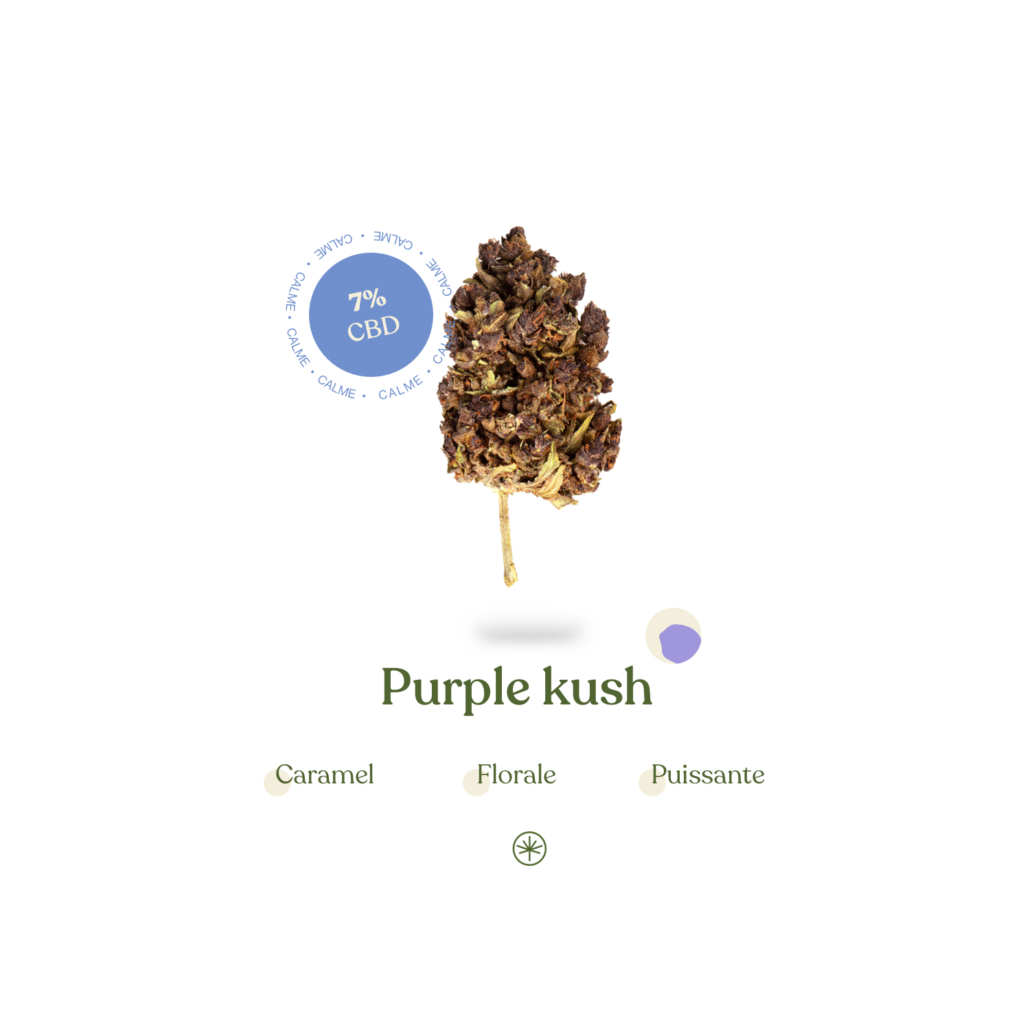 Fleurs de CBD Purple Kush