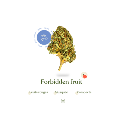 Forbidden fruit CBD