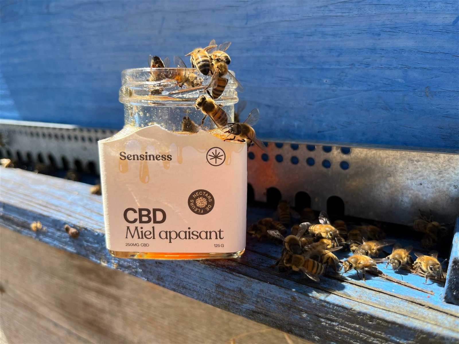 Miel CBD envahi par les abeilles